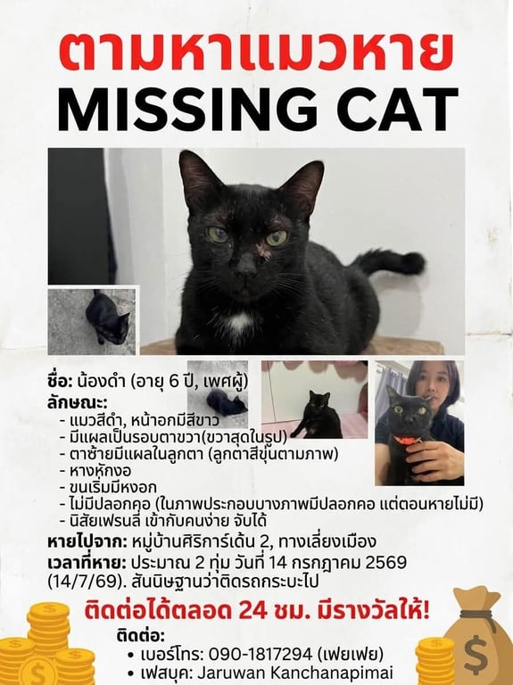 น้องดำ