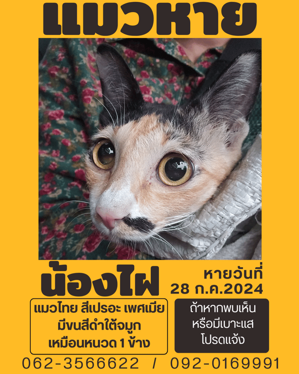 ไฝ