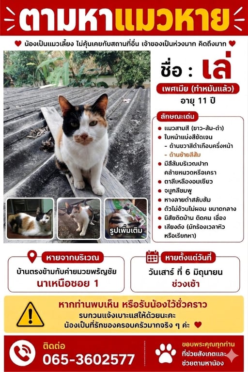เล่ (อาราเล่)