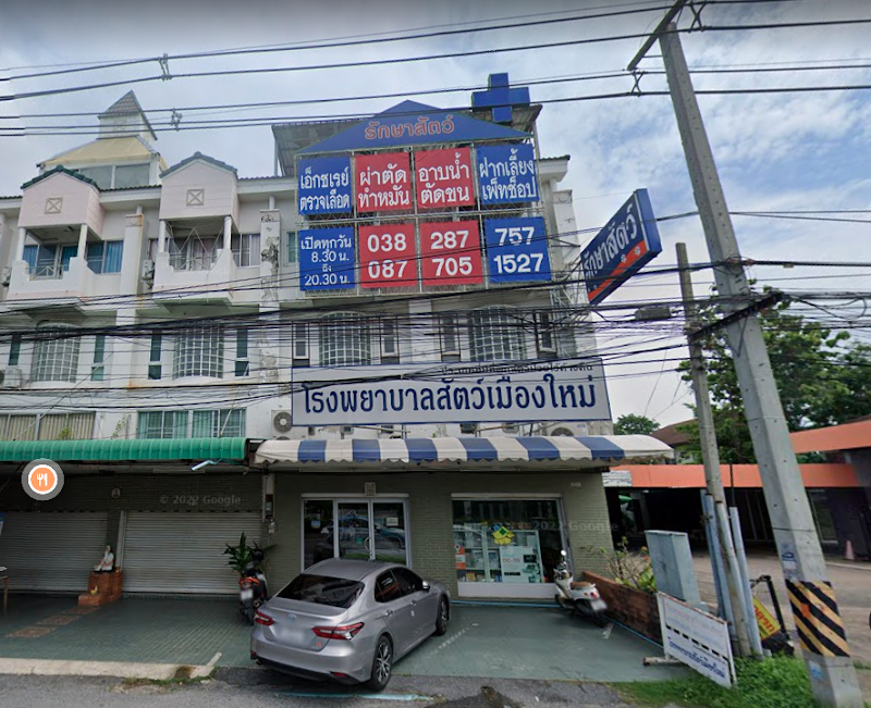 โรงพยาบาลสัตว์เมืองใหม่