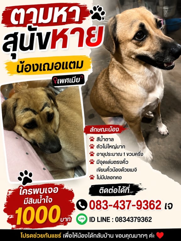 เฌอแตม