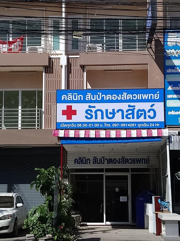 คลินิกสันป่าตองสัตวแพทย์