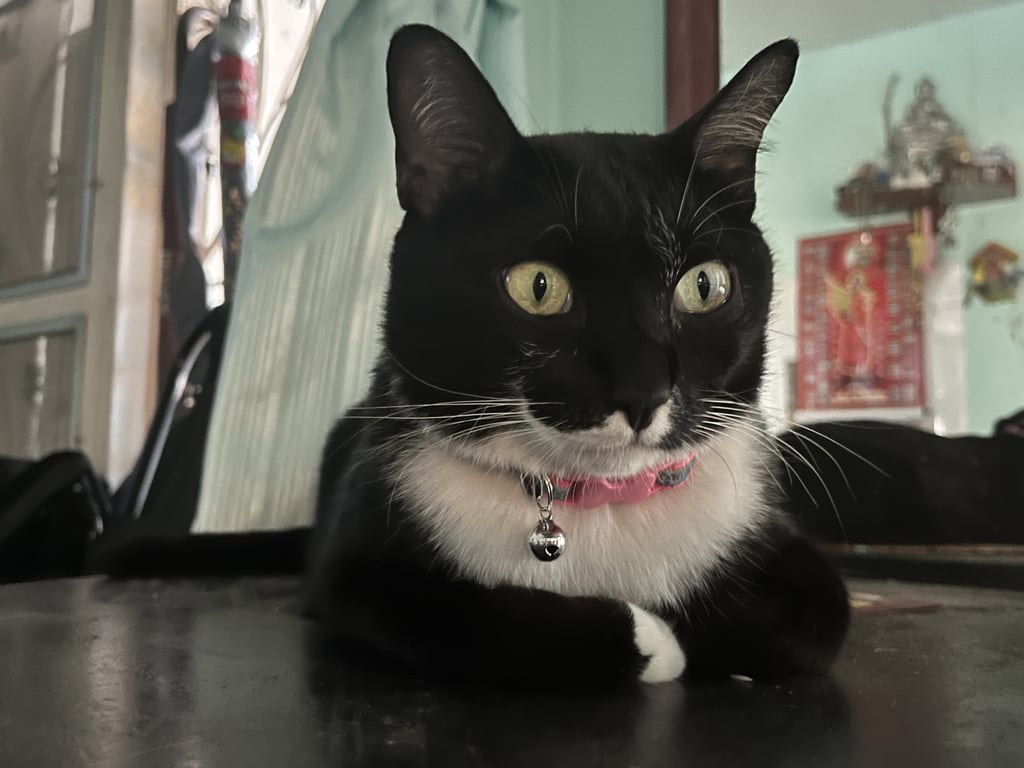 เพชร