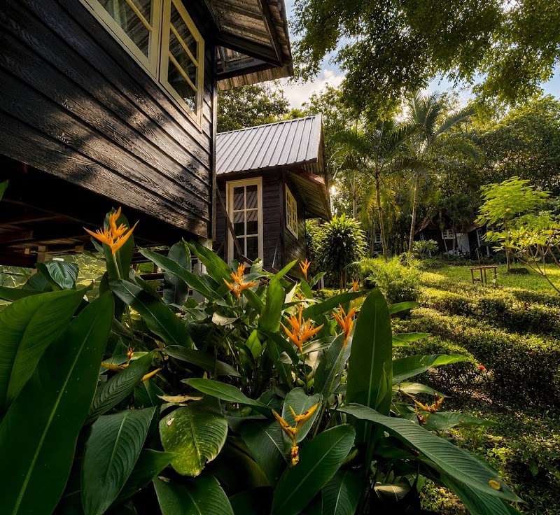 Vanara Bungalows