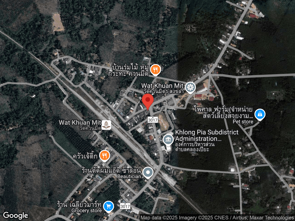 สถานที่หายของโตโต้