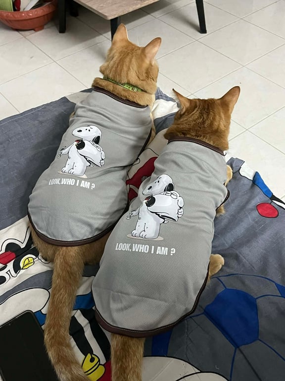 ม่อน