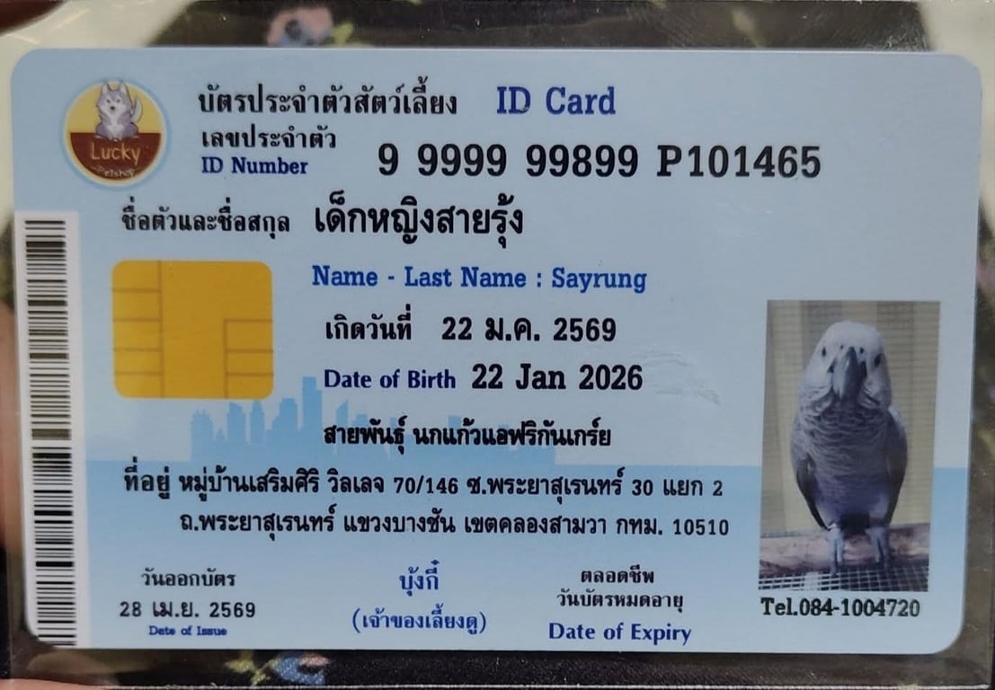 สายรุ้ง