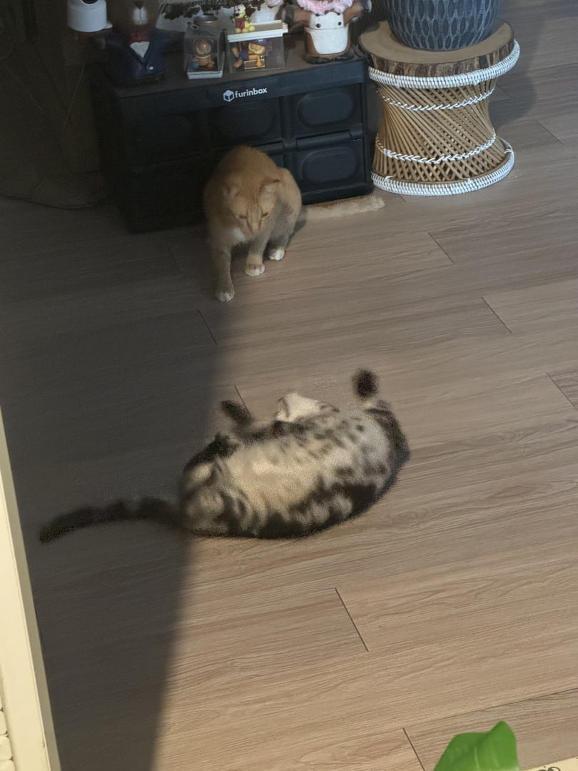 เอาไงดี