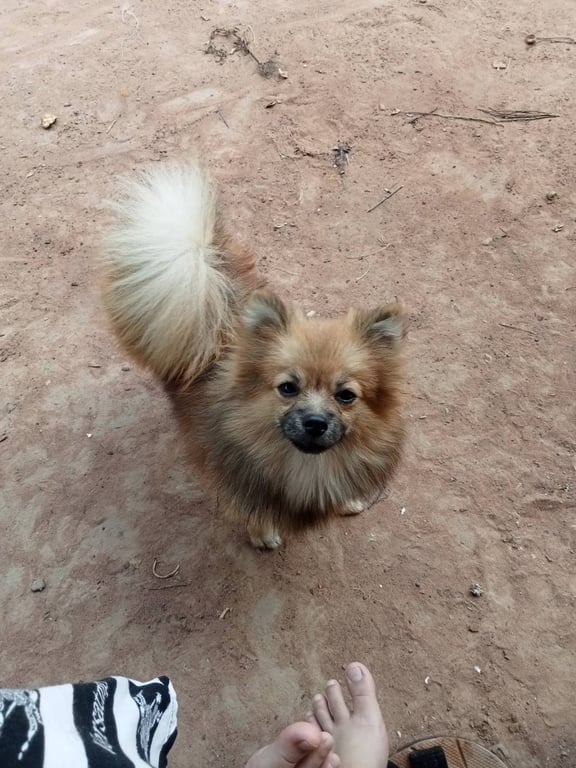 น้องกล้วย