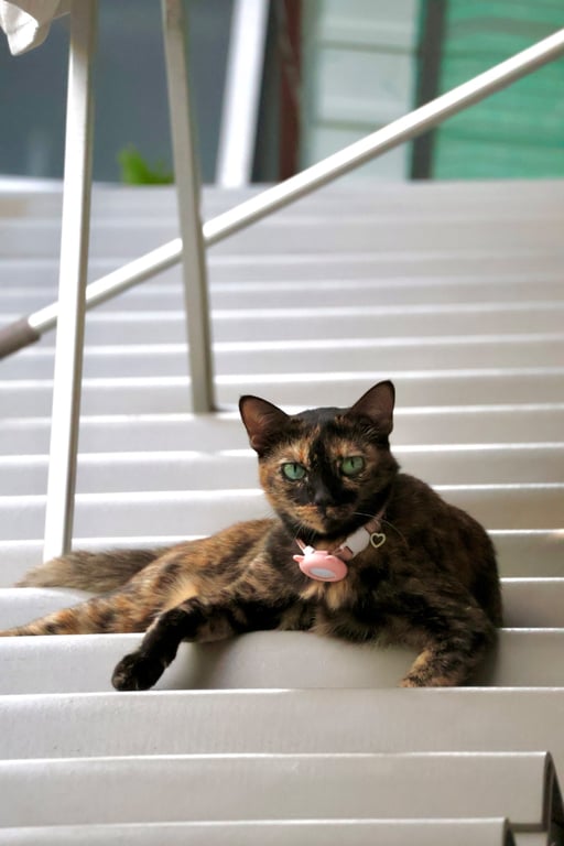 ยัยเปรอะ