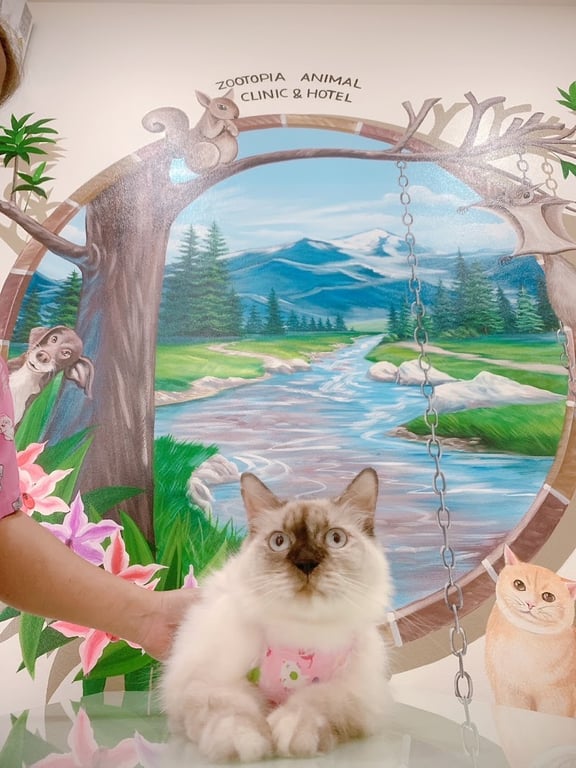 คลินิกสัตว์ซูโทเปีย Zootopia animal clinic&hotel สุพรรณบุรี