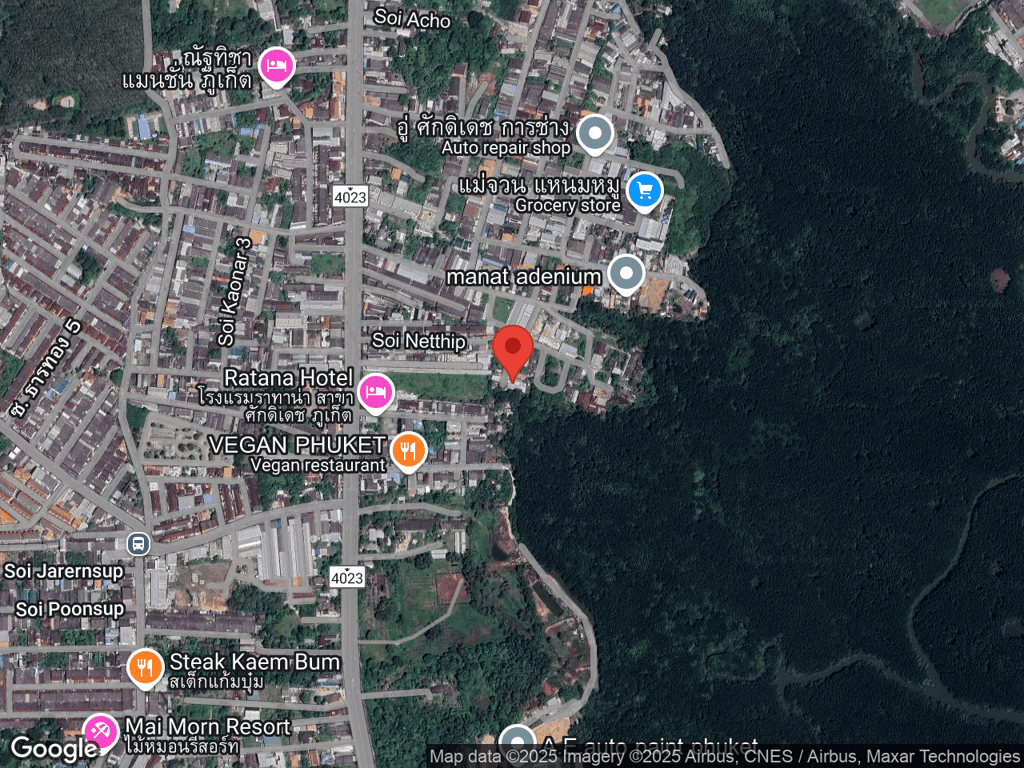 สถานที่หายของแป๋ง