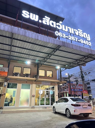 โรงพยาบาลสัตว์มาเจริญ