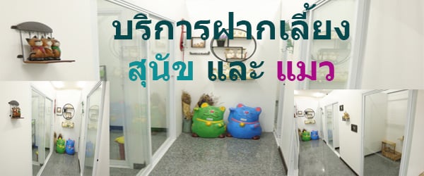 โรงพยาบาลสัตว์บุ่งตาหลั่ว สาขาภูเขาลาด