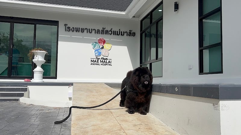 โรงพยาบาลสัตว์แม่มาลัย Tao Khum Animal Hospital Mae Malai