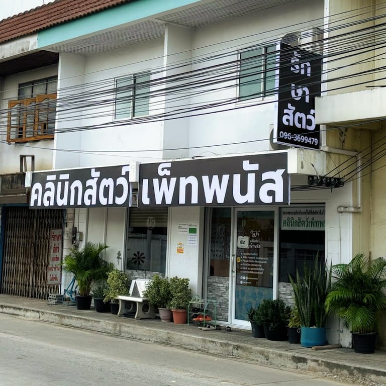คลินิกสัตว์เพ็ทพนัส