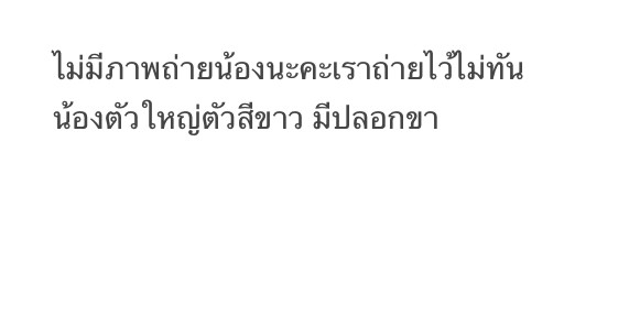 ตามหาเจ้าของหมา น้องตัวใหญ่ ใส่ปลอกคอ ตัวสีขาว เราเจอตรงโค้งสนามบินแพร่นะคะเหมือนน้องจะเจ็บขาอยู่ด้วยแต่เราไม่สามารถช่วยอะไรน้องได้เรายังเป็นเด็กอยู่