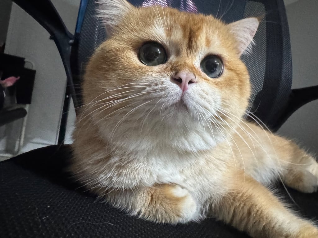 มีไลค์