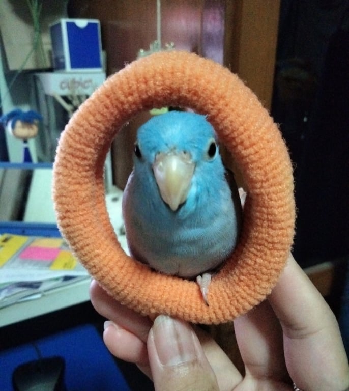 อาโก