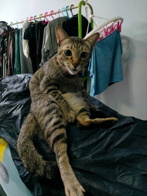 สุดหล่อ