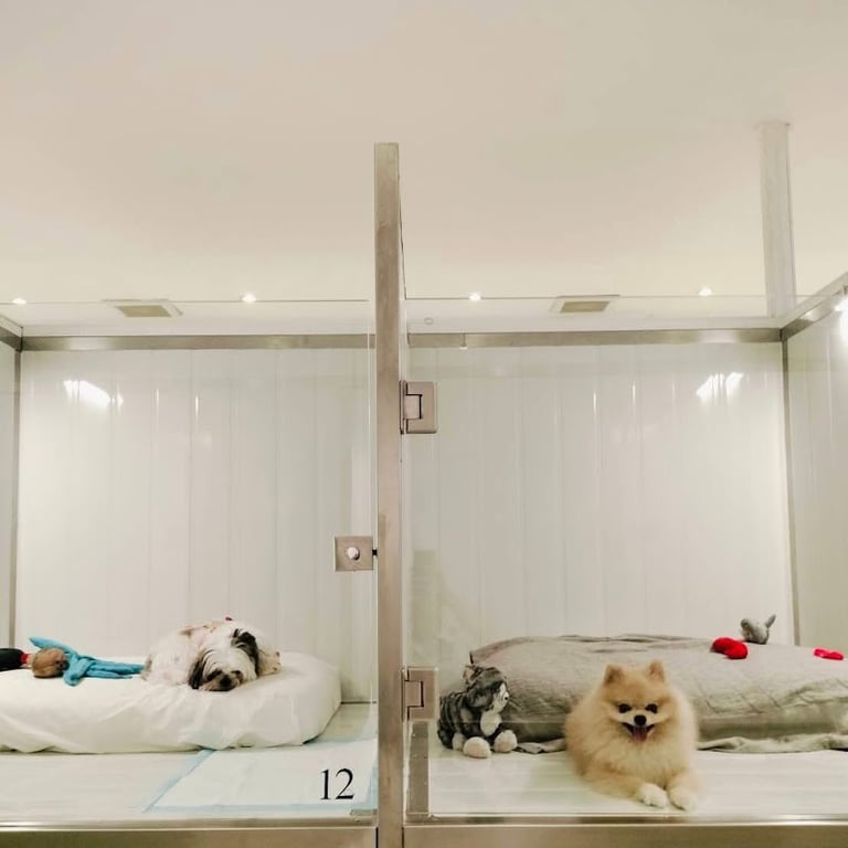 Pet Hotel Bangkok - Sukhumvit