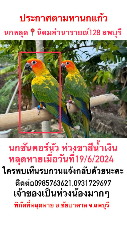 ลีโอ