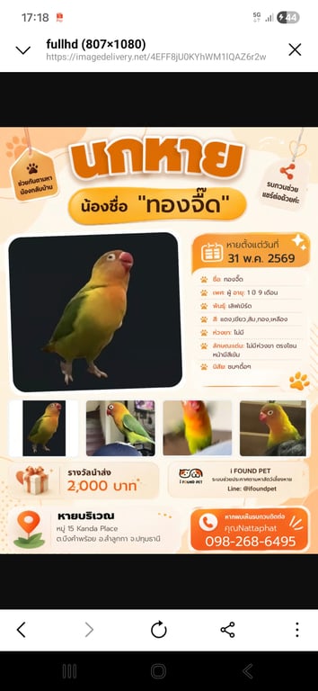 ทองจี๊ก