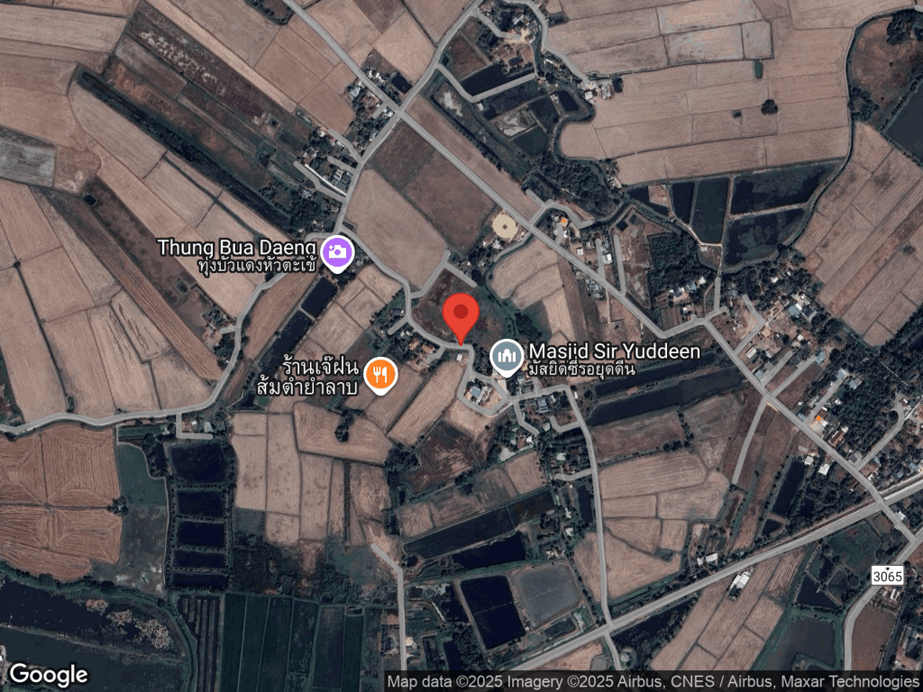 สถานที่หายของเต้าหู้