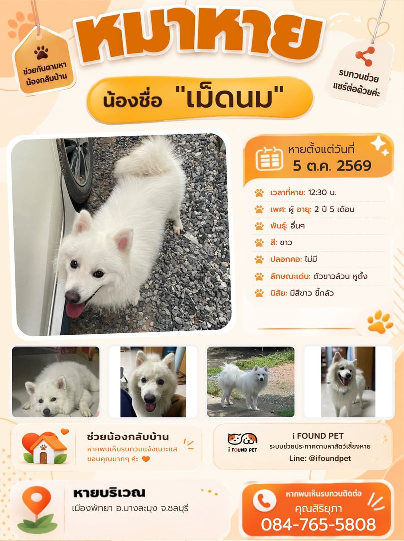 เม็ดนม