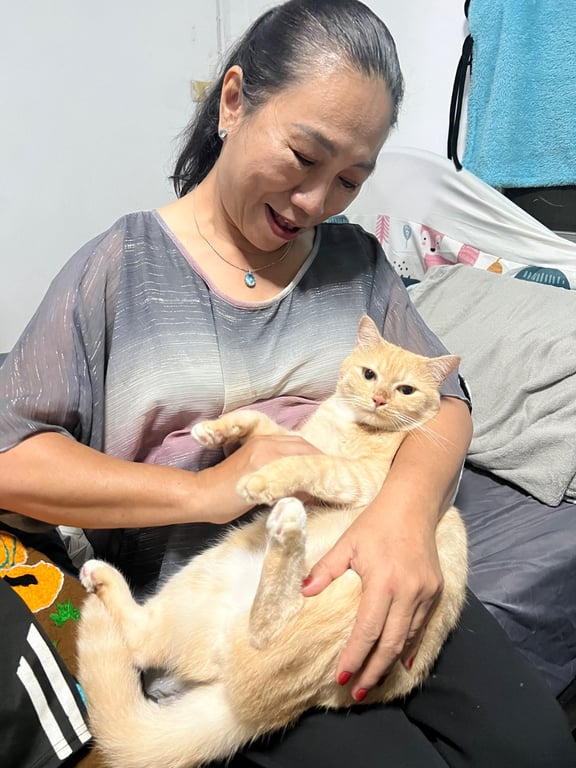 ยูกิ