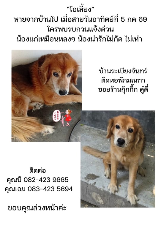 น้องโอเลี้ยง