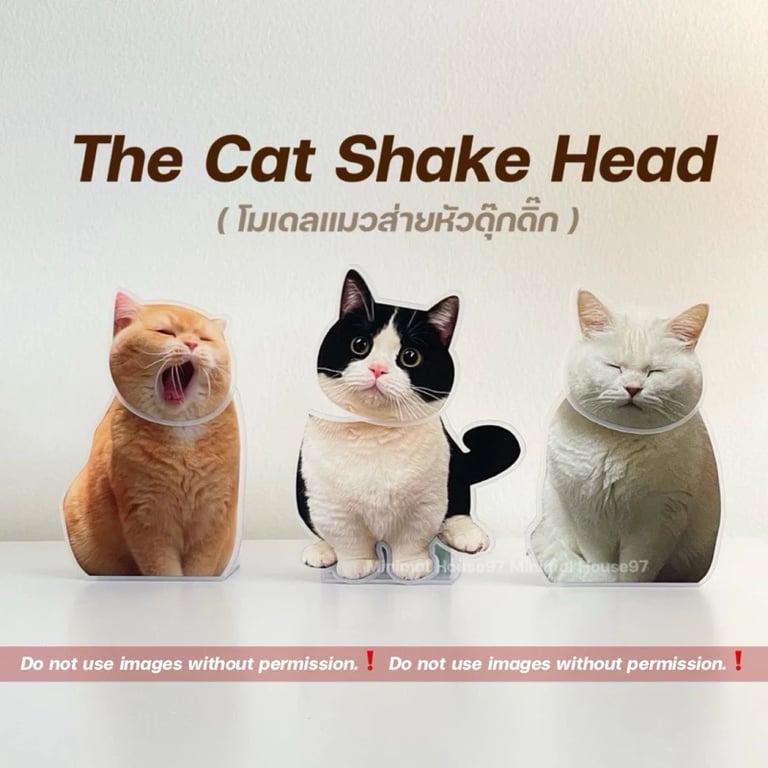 แมวส่ายหัว