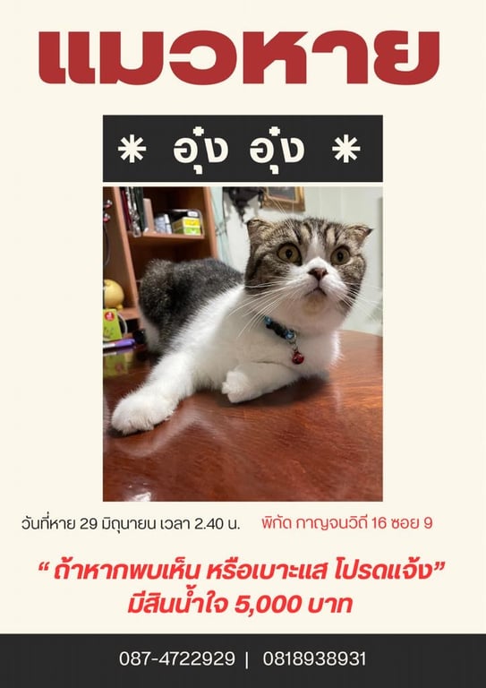 อุ๋ง อุ๋ง