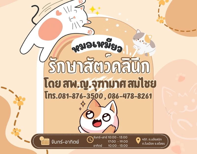 รักษาสัตว์คลินิก สพ.ญ.จุฑามาศ สมไชย - หมอเหมียว