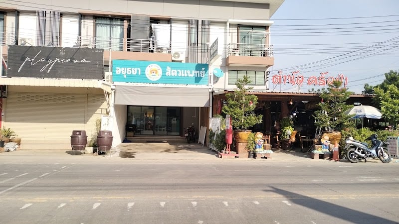 อยุธยา สัตวแพทย์
