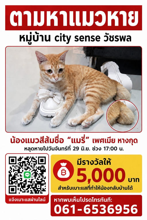 แมรี่