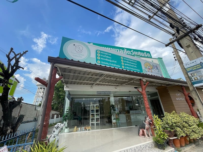 โรงพยาบาลสัตว์แสนรัก บางแสน