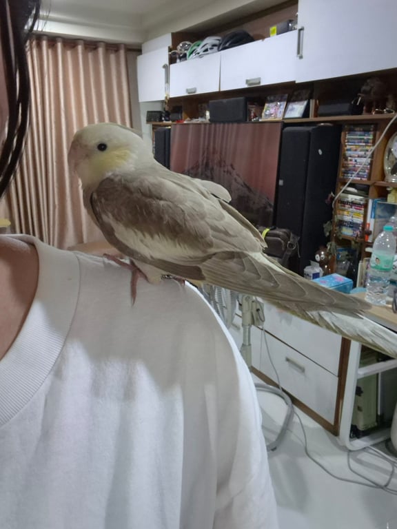 เบญ