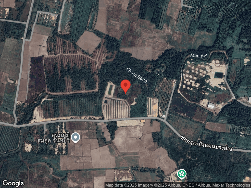 สถานที่หายของถังเช่า