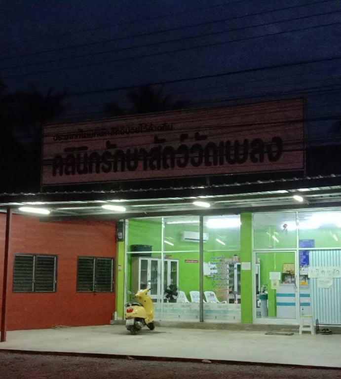 คลินิกรักษาสัตว์วัดเพลง