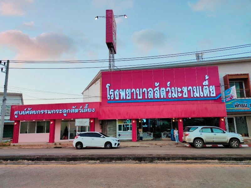 โรงพยาบาลสัตว์มะขามเตี้ย ในลึก