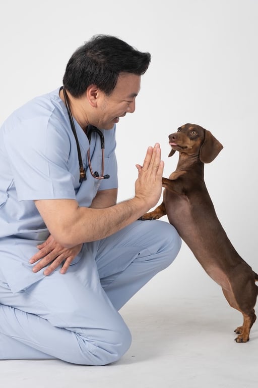 Thonglor Pet Hospital Asoke - Prasarnmit โรงพยาบาลสัตว์ทองหล่อ อโศก-ประสานมิตร