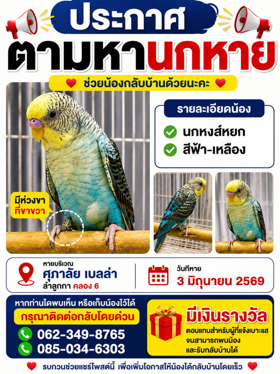 ไม่มี