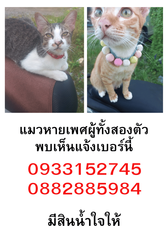 ตัวสี่ส้มชื่อปลาส้ม,อีกตัวชื่อปลาร้า