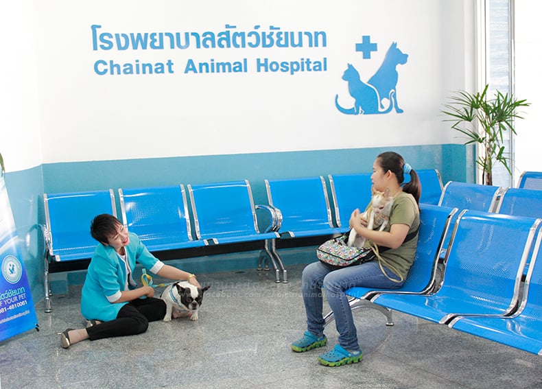 โรงพยาบาลสัตว์ชัยนาท