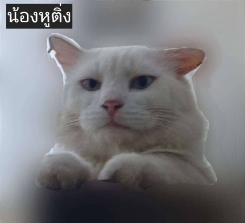 น้องหูติ่ง