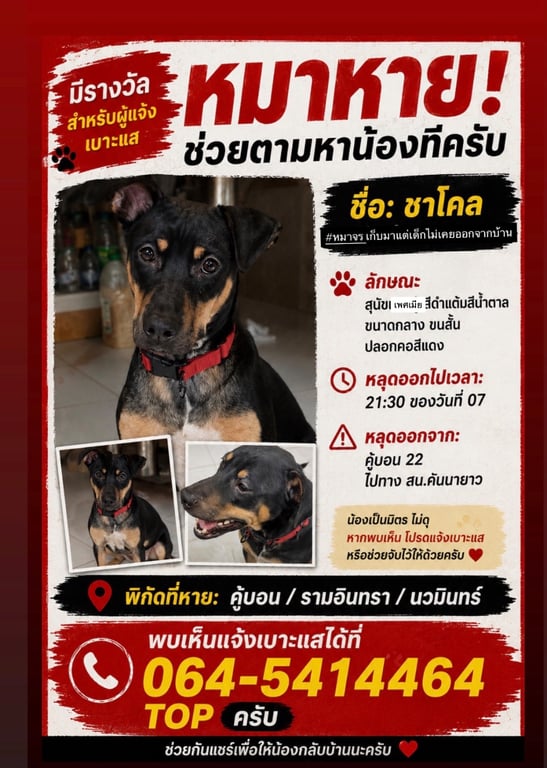 ชาโคล