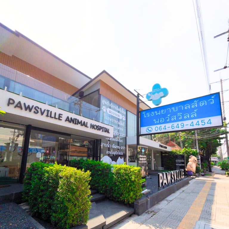 Pawsville Animal Hospital