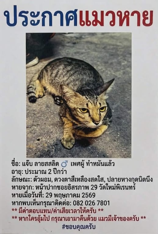 แจ๊บ
