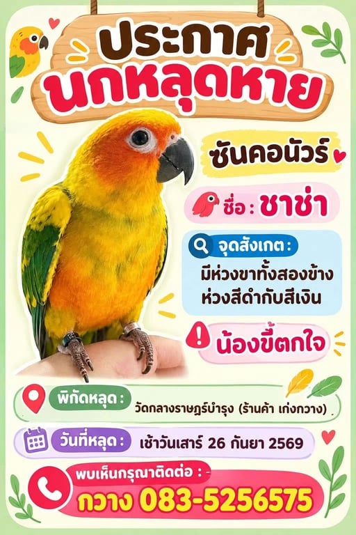ชาช่า